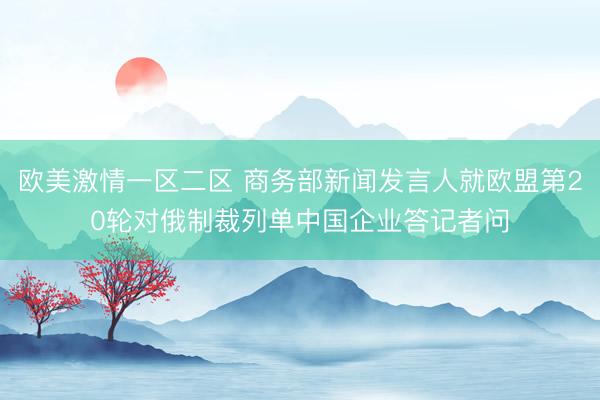 欧美激情一区二区 商务部新闻发言人就欧盟第20轮对俄制裁列单中国企业答记者问