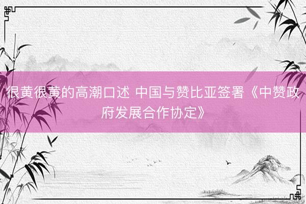 很黄很黄的高潮口述 中国与赞比亚签署《中赞政府发展合作协定》