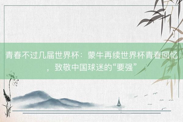 青春不过几届世界杯：蒙牛再续世界杯青春回忆，致敬中国球迷的“要强”