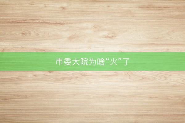 市委大院为啥“火”了