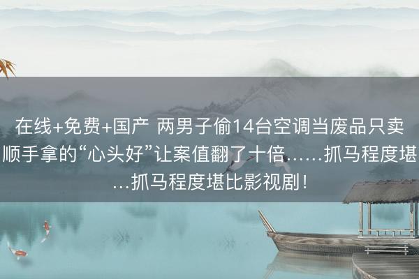 在线+免费+国产 两男子偷14台空调当废品只卖7000元，顺手拿的“心头好”让案值翻了十倍……抓马程度堪比影视剧！
