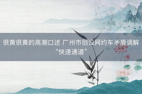 很黄很黄的高潮口述 广州市创设网约车矛盾调解“快速通道”