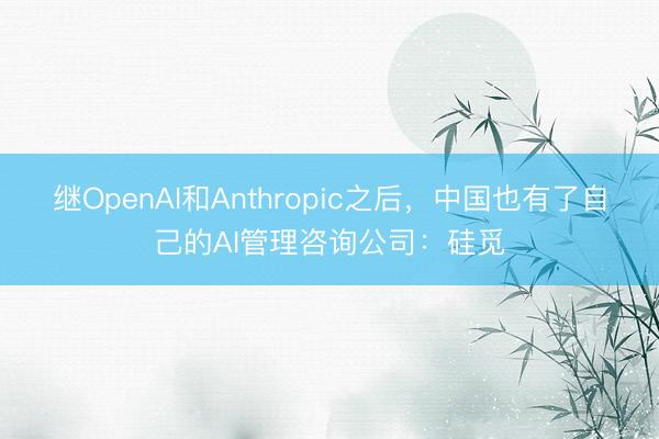 继OpenAI和Anthropic之后，中国也有了自己的AI管理咨询公司：硅觅