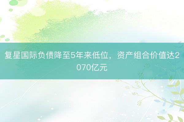 复星国际负债降至5年来低位，资产组合价值达2070亿元