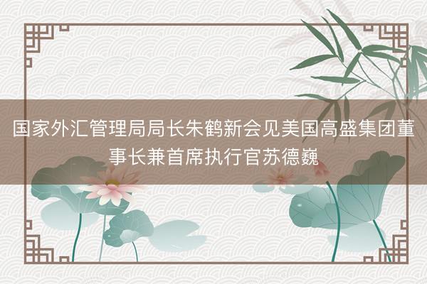 国家外汇管理局局长朱鹤新会见美国高盛集团董事长兼首席执行官苏德巍