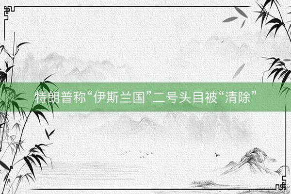特朗普称“伊斯兰国”二号头目被“清除”