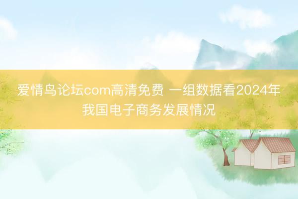 爱情鸟论坛com高清免费 一组数据看2024年我国电子商务发展情况