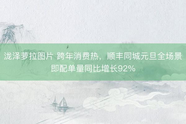 泷泽萝拉图片 跨年消费热,顺丰同城元旦全场景即配单量同比增长92%