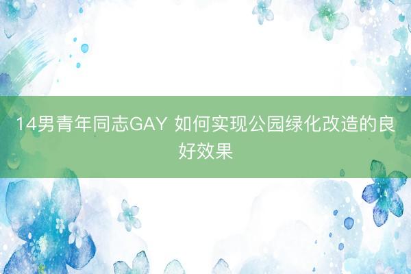 14男青年同志GAY 如何实现公园绿化改造的良好效果