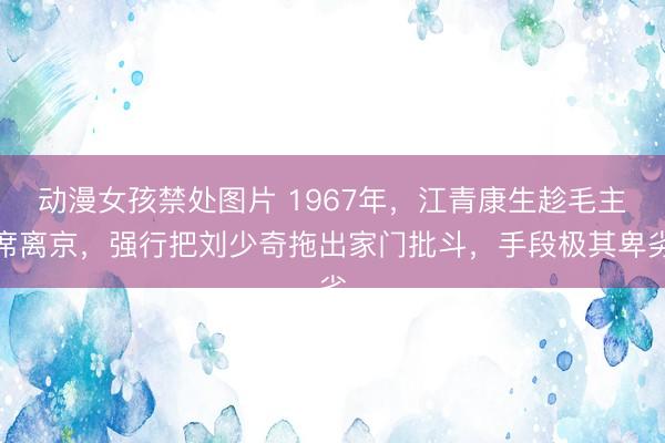 动漫女孩禁处图片 1967年,江青康生趁毛主席离京,强行把刘少奇拖出家门批斗,手段极其卑劣