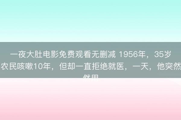 一夜大肚电影免费观看无删减 1956年，35岁的农民咳嗽10年，但却一直拒绝就医，一天，他突然用