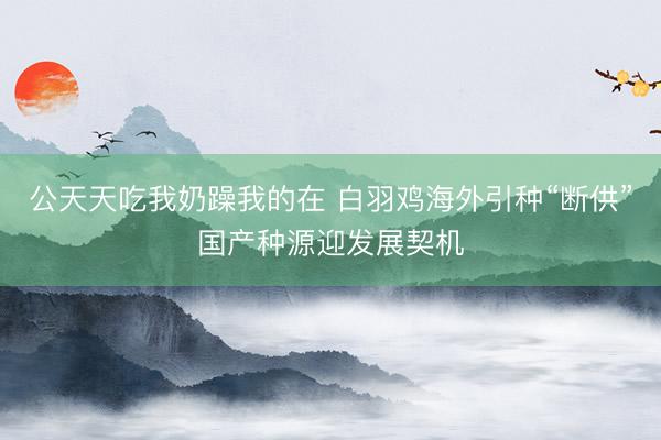 公天天吃我奶躁我的在 白羽鸡海外引种“断供”国产种源迎发展契机