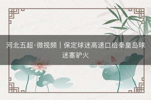 河北五超·微视频｜保定球迷高速口给秦皇岛球迷塞驴火