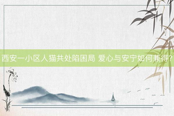 西安一小区人猫共处陷困局 爱心与安宁如何兼得?