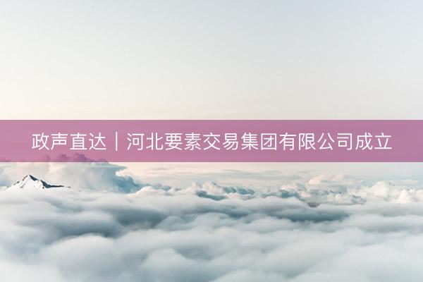 政声直达｜河北要素交易集团有限公司成立
