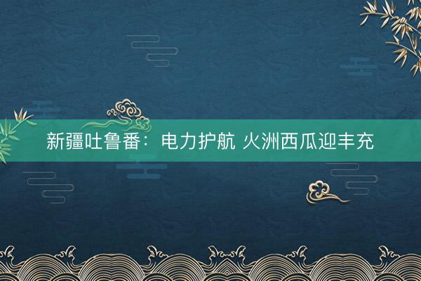 新疆吐鲁番：电力护航 火洲西瓜迎丰充