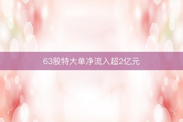 63股特大单净流入超2亿元