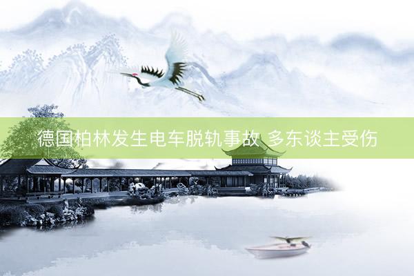 德国柏林发生电车脱轨事故 多东谈主受伤