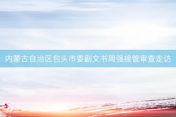 内蒙古自治区包头市委副文书周强接管审查走访
