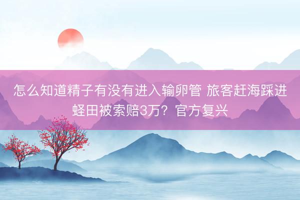 怎么知道精子有没有进入输卵管 旅客赶海踩进蛏田被索赔3万？官方复兴