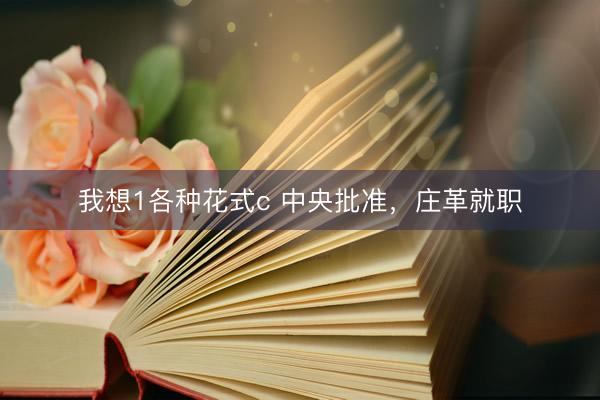 我想1各种花式c 中央批准，庄革就职