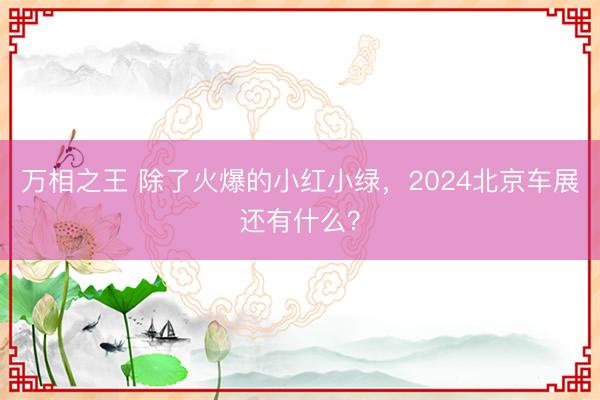 万相之王 除了火爆的小红小绿，2024北京车展还有什么？