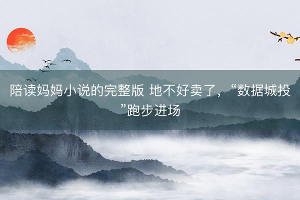 陪读妈妈小说的完整版 地不好卖了，“数据城投”跑步进场