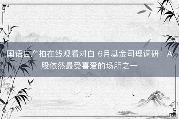 国语自产拍在线观看对白 6月基金司理调研：A股依然最受喜爱的场所之一