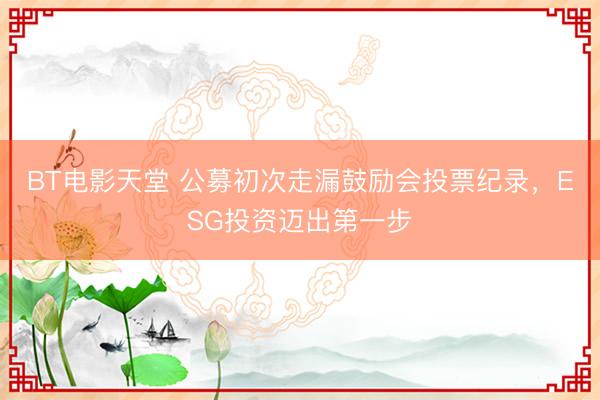 BT电影天堂 公募初次走漏鼓励会投票纪录，ESG投资迈出第一步
