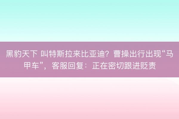 黑豹天下 叫特斯拉来比亚迪？曹操出行出现“马甲车”，客服回复：正在密切跟进贬责