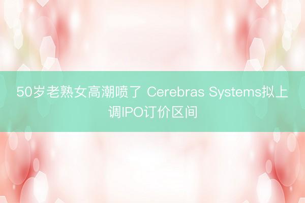 50岁老熟女高潮喷了 Cerebras Systems拟上调IPO订价区间