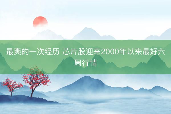 最爽的一次经历 芯片股迎来2000年以来最好六周行情
