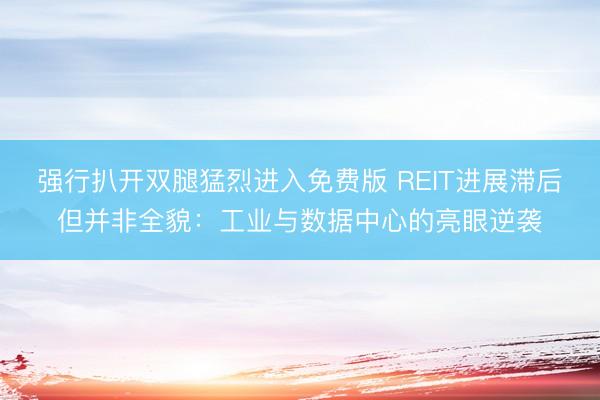 强行扒开双腿猛烈进入免费版 REIT进展滞后但并非全貌：工业与数据中心的亮眼逆袭