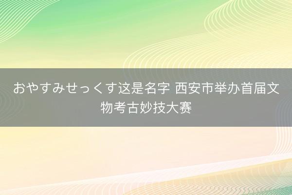 おやすみせっくす这是名字 西安市举办首届文物考古妙技大赛