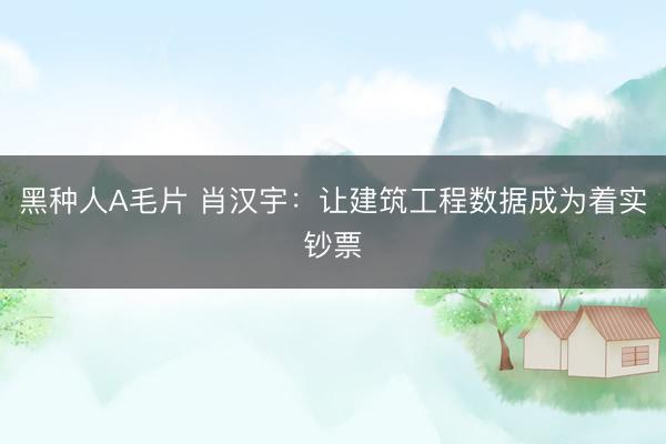 黑种人A毛片 肖汉宇:让建筑工程数据成为着实钞票