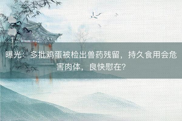 曝光：多批鸡蛋被检出兽药残留，持久食用会危害肉体，良快慰在？