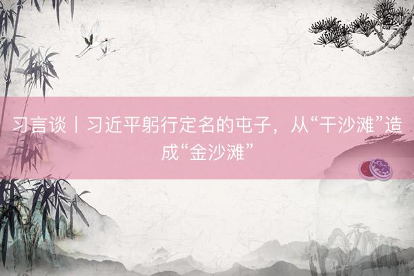 习言谈丨习近平躬行定名的屯子，从“干沙滩”造成“金沙滩”