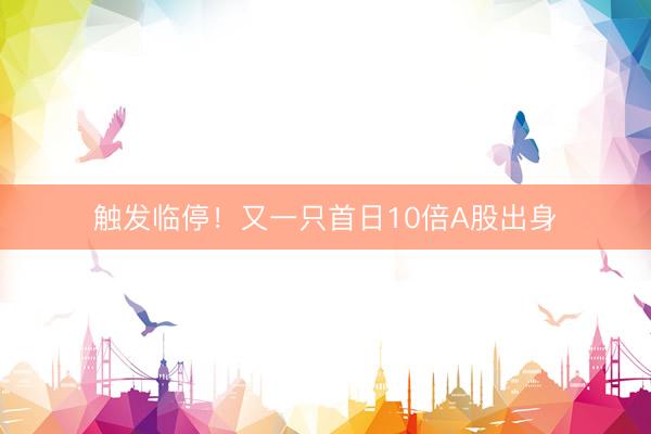 触发临停！又一只首日10倍A股出身