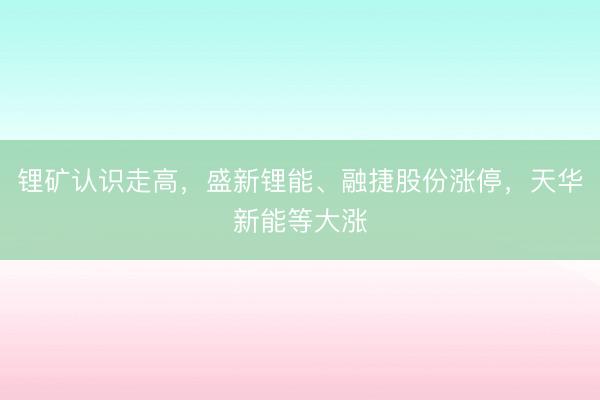 锂矿认识走高，盛新锂能、融捷股份涨停，天华新能等大涨